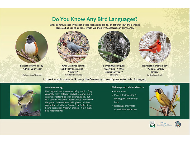Bird Languages sign